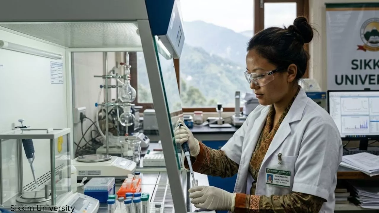 Sikkim University Job